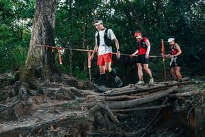 BIB: 
                            <button type="button" onclick="openModal(27750428)" class="btn btn-primary btn-sm float-right btn-popup" data-toggle="modal" data-target=".modal-high-quality">
                        <i class="fas fa-shopping-cart"></i> Add to Cart
                    </button>
                                            <button type="button" onclick="isThisMe(27750428, true)" class="btn btn-success btn-sm float-right btn-popup btn-isme hidden" data-toggle="tooltip" data-placement="bottom" title="นี่คือรูปของคุณใช่ไหม คลิกที่นี่เพื่อเอาเข้าอัลบั้ม">
                        <i class="fas fa-plus"></i> Add to album
                    </button>
                    <button type="button" onclick="isThisMe(27750428, false)" class="btn btn-warning btn-sm float-right btn-popup btn-isnotme hidden">
                        <i class="fas fa-ban"></i> Remove from album
                    </button>